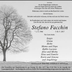 Stefano Facchin