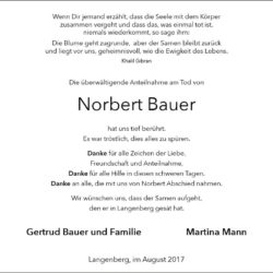 Norbert Bauer (Danksagung)