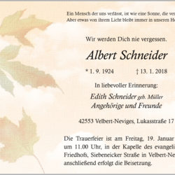 Albert Schneider