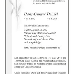 Hans-Günter Denzel