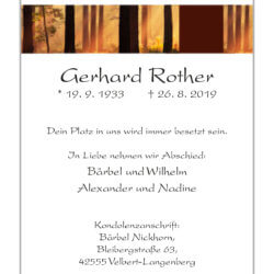 Gerhard Rother † 26. 8. 2019